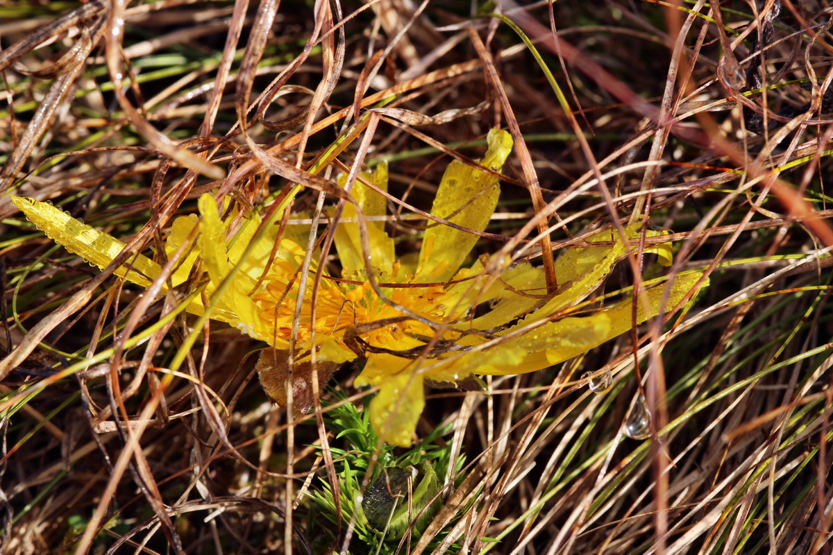 2014_03_07_00036582p_Bildgr��e �ndern