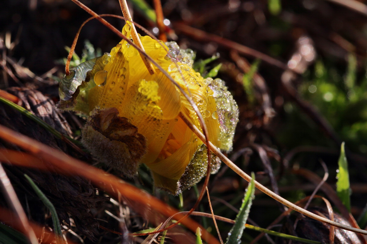 2014_03_07_00036586p_Bildgr��e �ndern