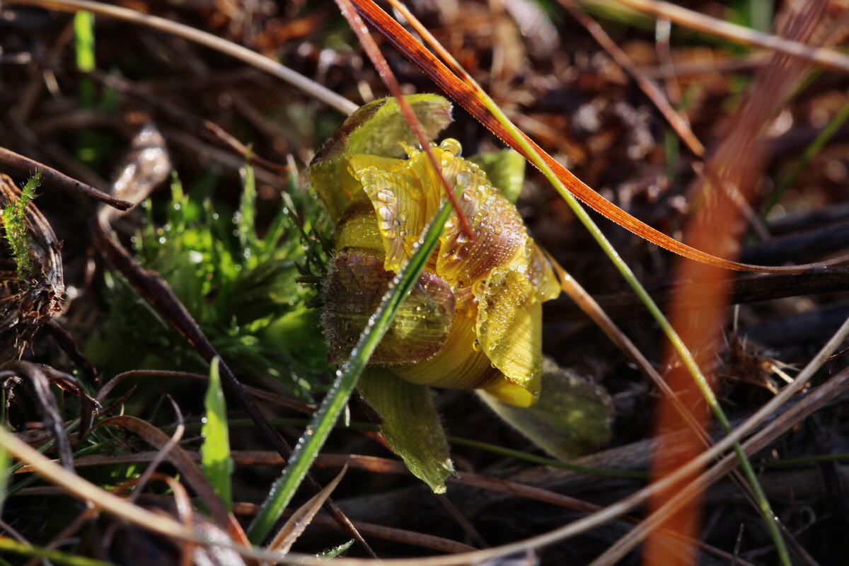 2014_03_07_00036588p_Bildgr��e �ndern