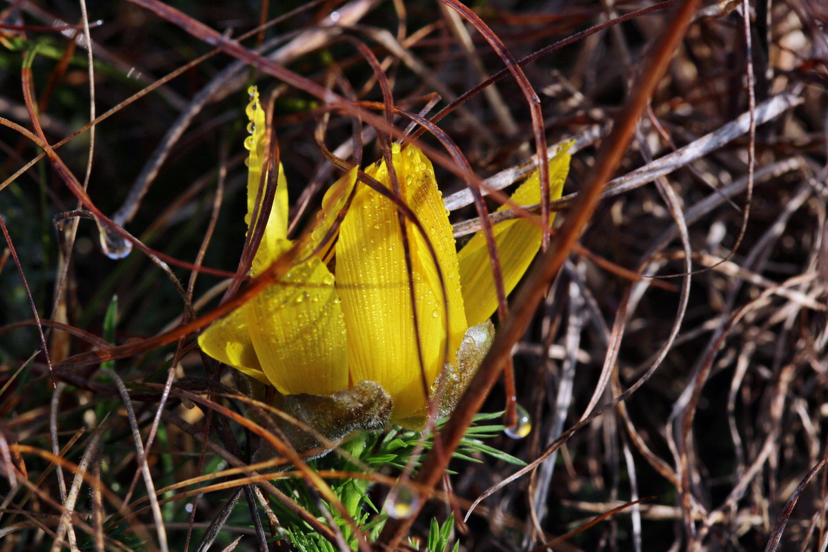 2014_03_07_00036593p_Bildgr��e �ndern