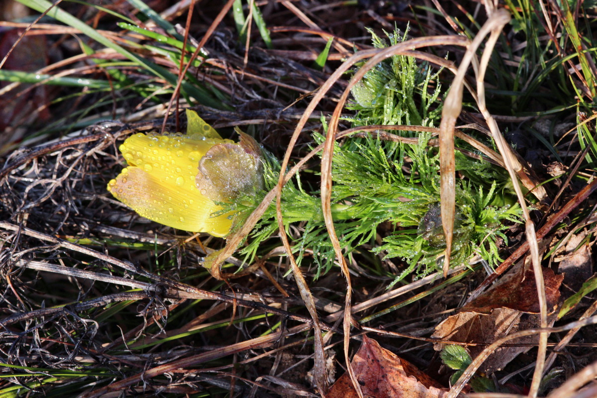 2014_03_07_00036597p_Bildgr��e �ndern