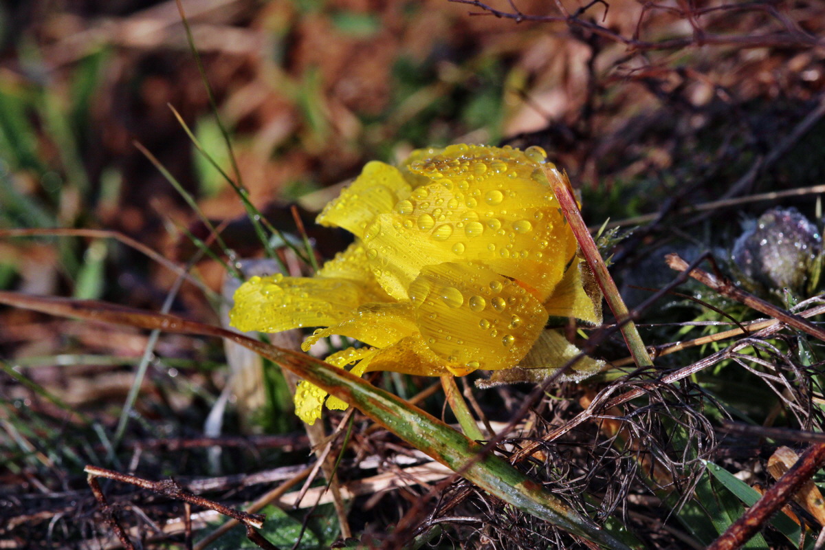 2014_03_07_00036600p_Bildgr��e �ndern