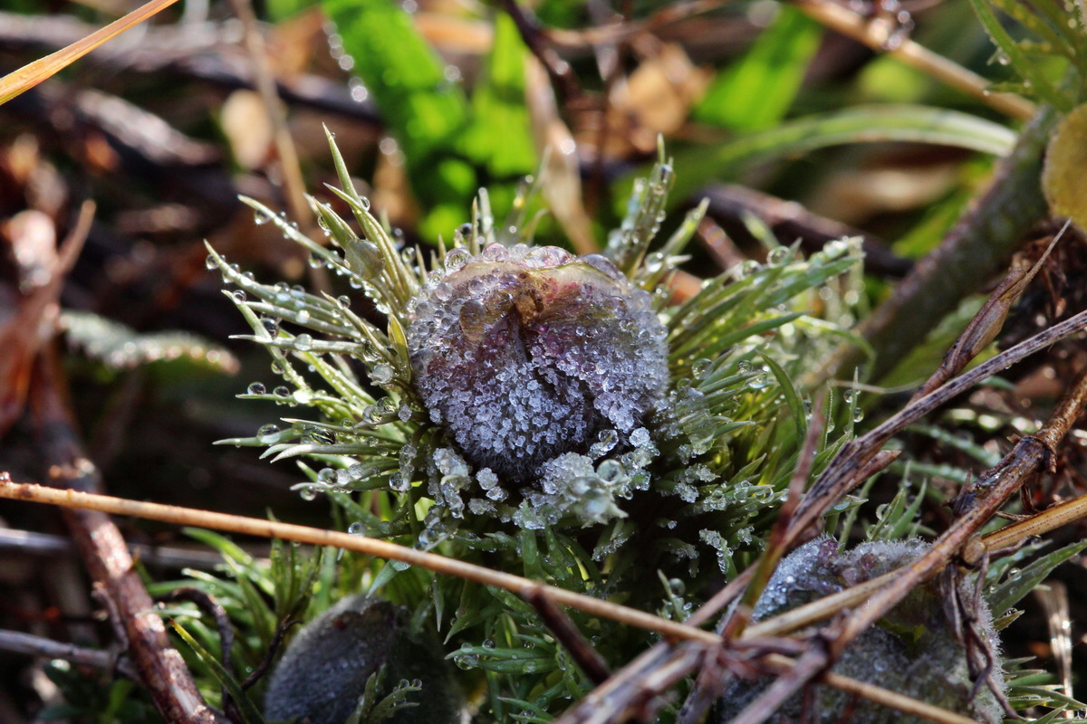 2014_03_07_00036604p_Bildgr��e �ndern