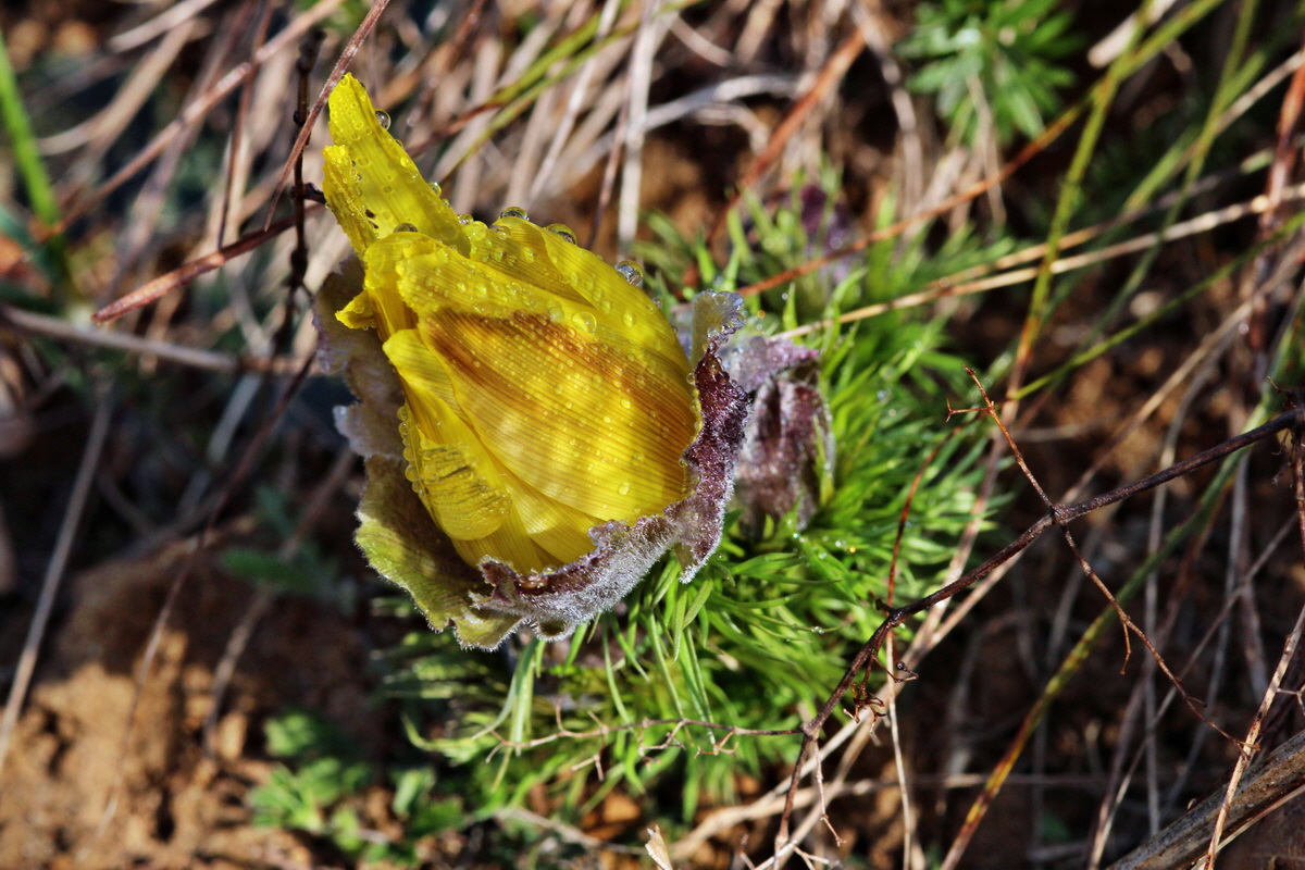 2014_03_07_00036620p_Bildgr��e �ndern