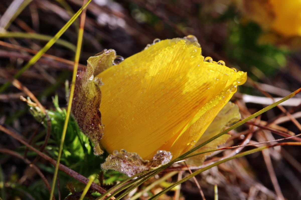 2014_03_07_00036624p_Bildgr��e �ndern