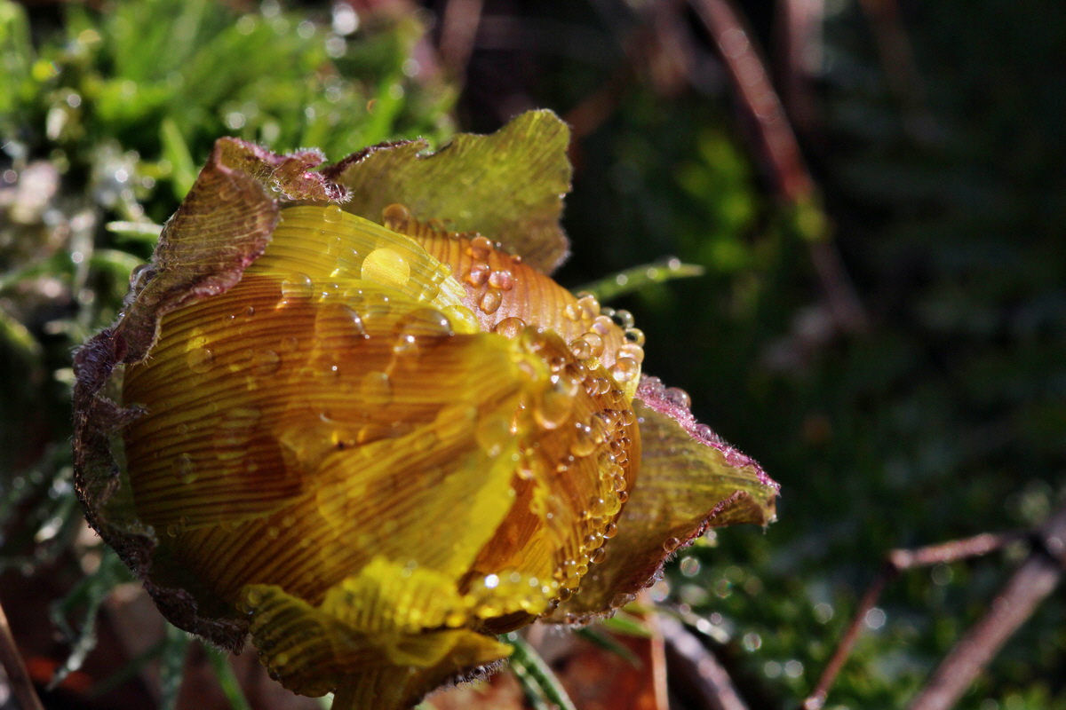 2014_03_07_00036640p_Bildgr��e �ndern