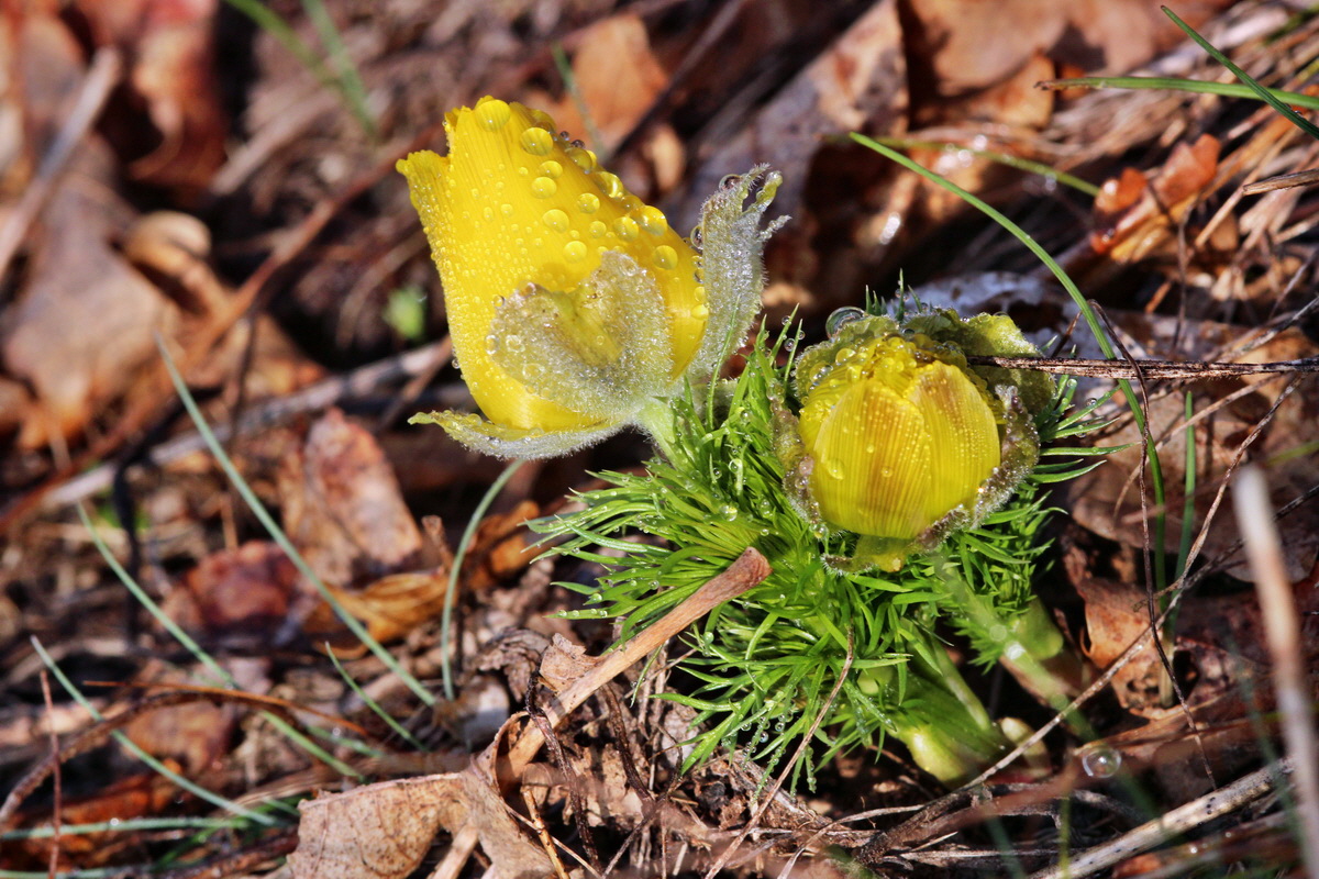 2014_03_07_00036643p_Bildgr��e �ndern