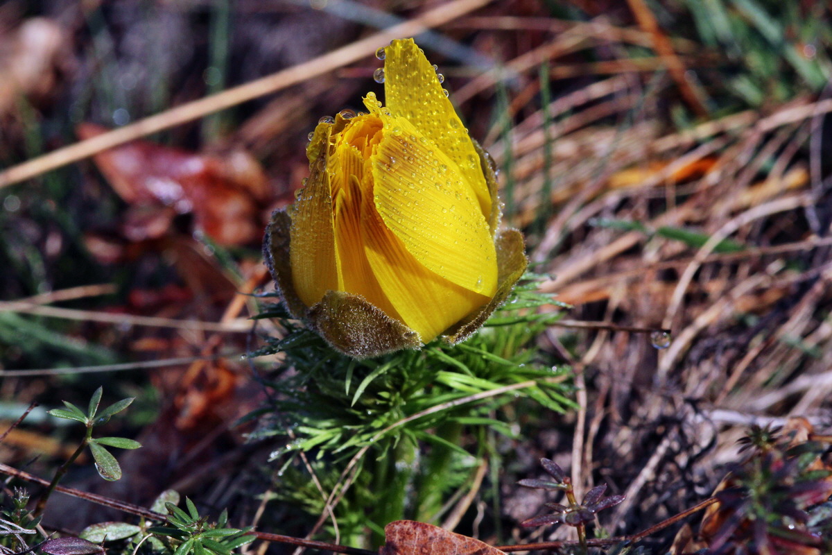 2014_03_07_00036648p_Bildgr��e �ndern