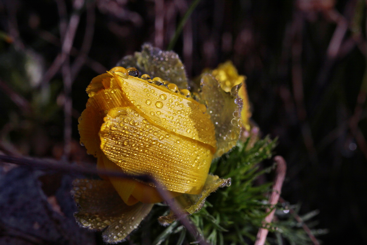 2014_03_07_00036654p_Bildgr��e �ndern