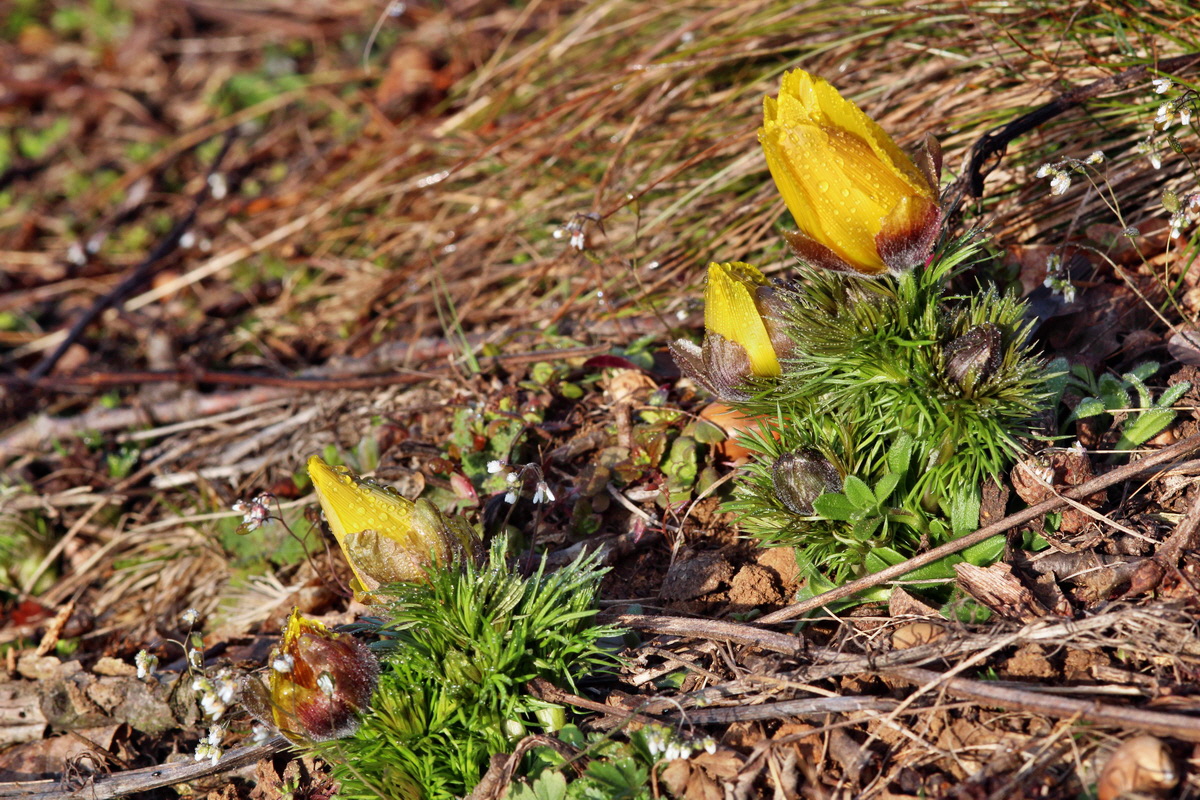 2014_03_07_00036656p_Bildgr��e �ndern