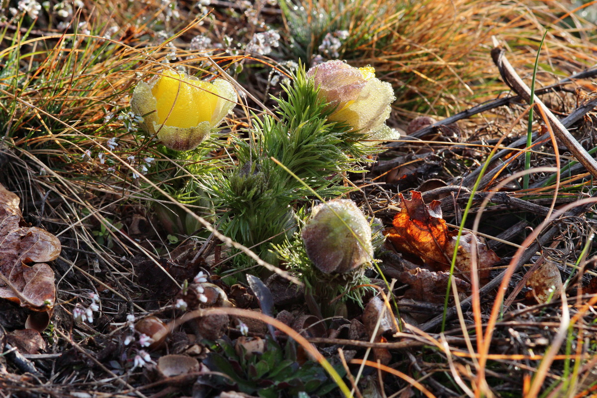 2014_03_07_00036660p_Bildgr��e �ndern