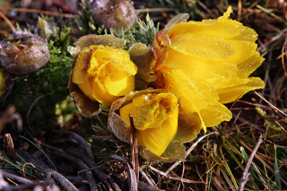 2014_03_07_00036666p_Bildgr��e �ndern