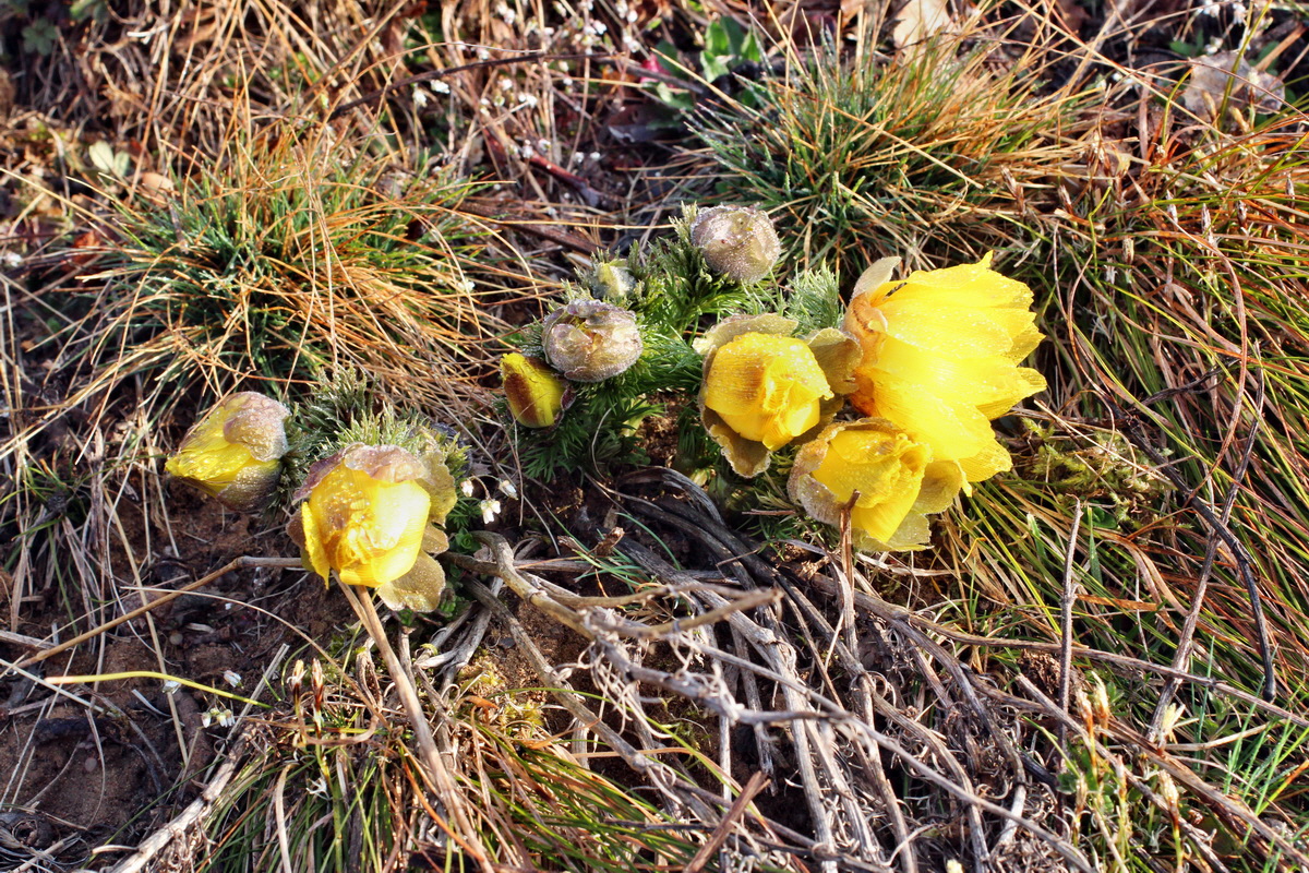 2014_03_07_00036669p_Bildgr��e �ndern