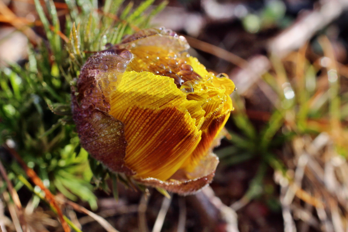 2014_03_07_00036678p_Bildgr��e �ndern