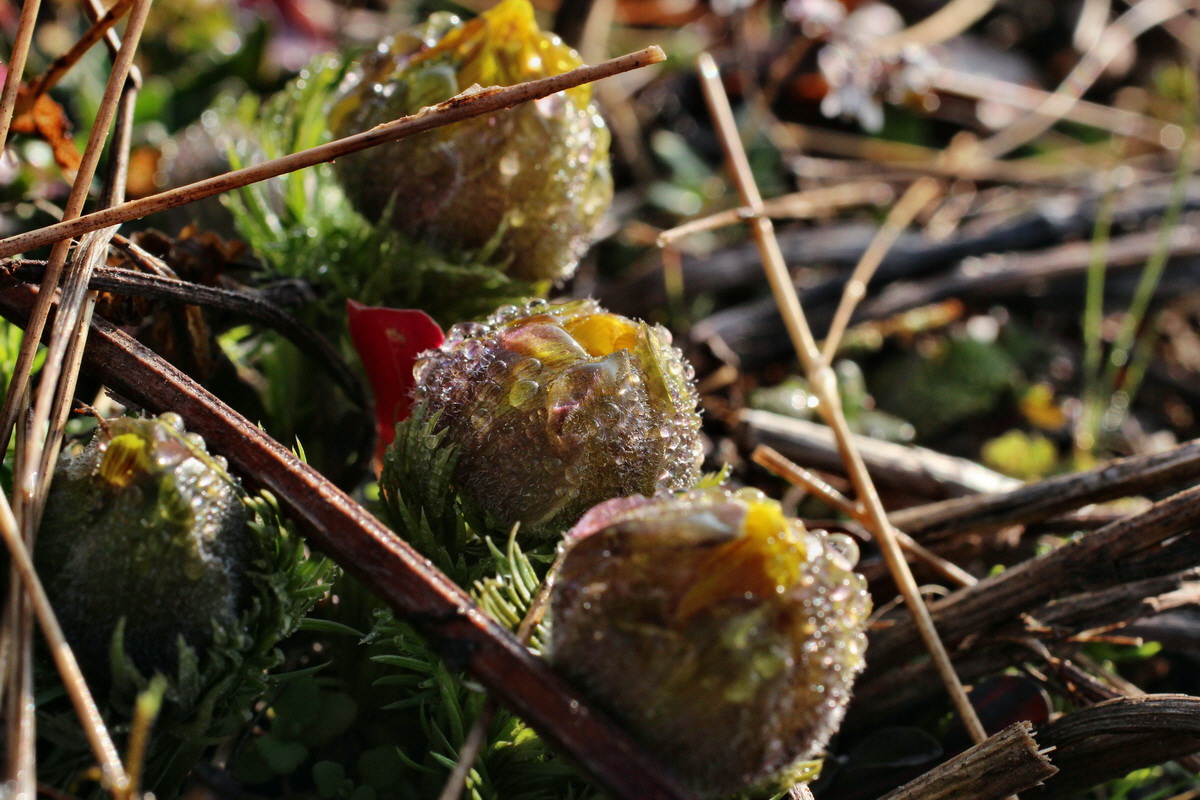 2014_03_07_00036680p_Bildgr��e �ndern