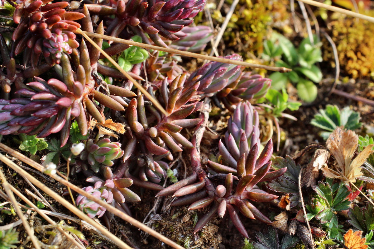 2014_03_07_00036687p_Bildgr��e �ndern