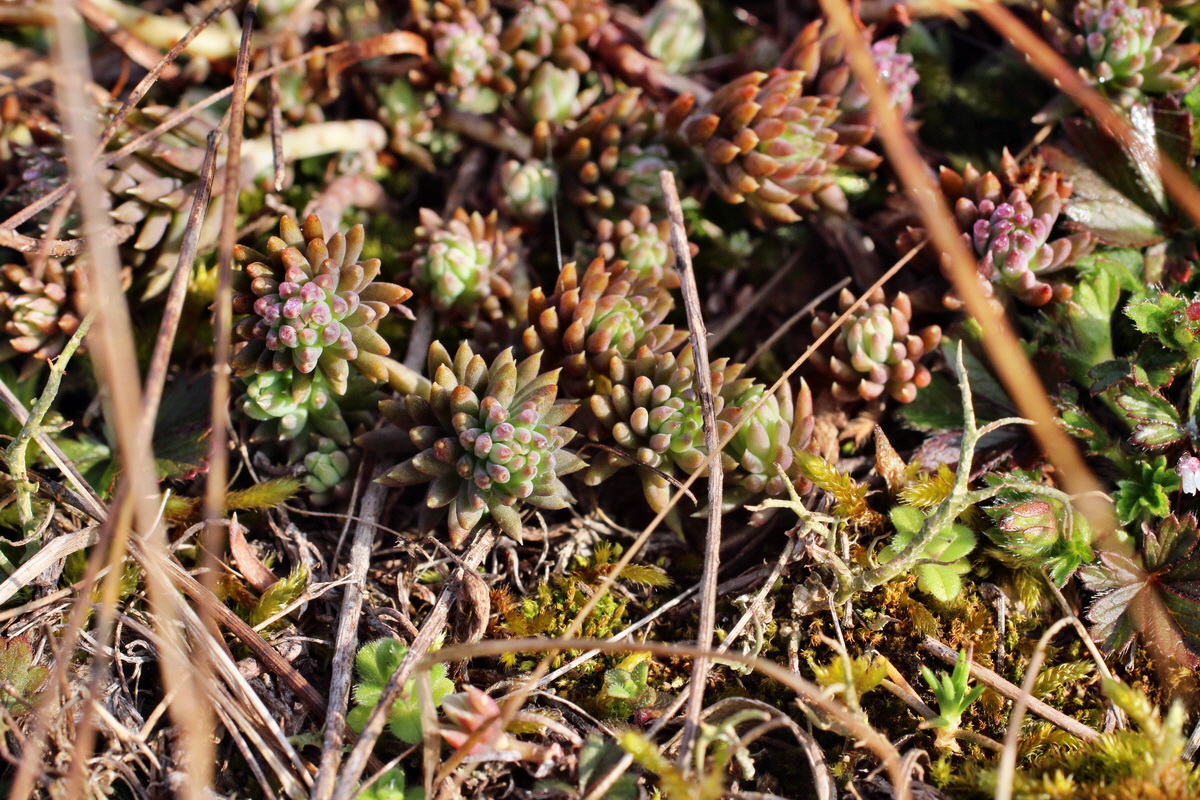 2014_03_07_00036689p_Bildgr��e �ndern