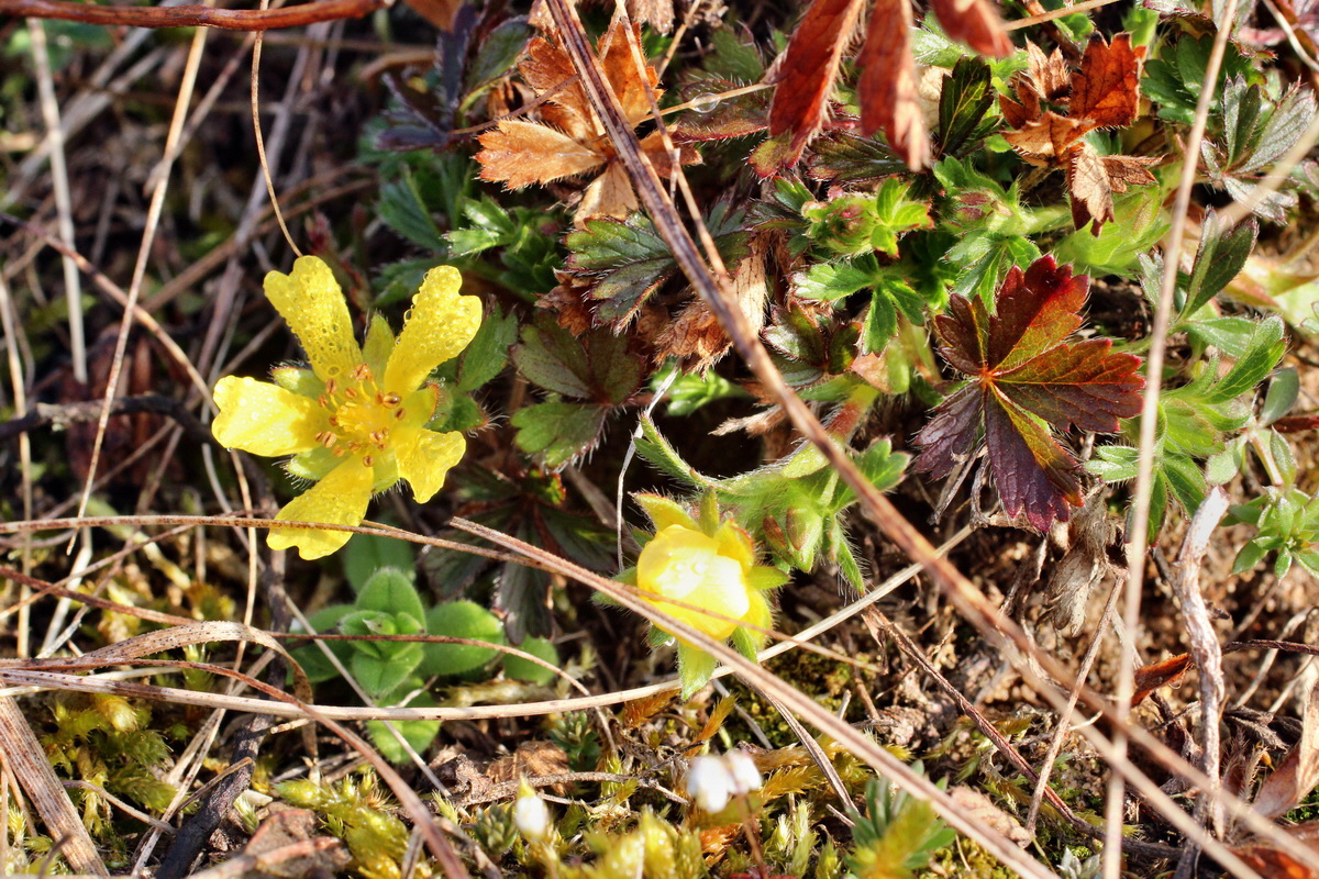 2014_03_07_00036692p_Bildgr��e �ndern