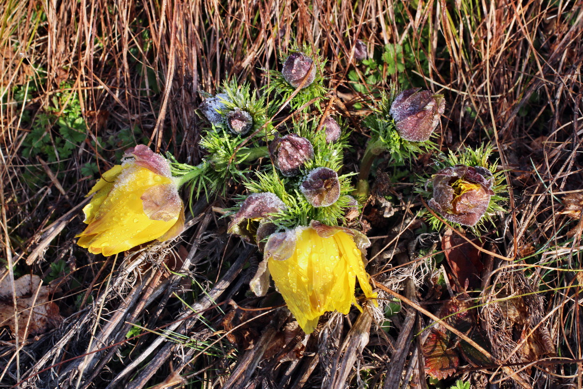 2014_03_07_00036703p_Bildgr��e �ndern