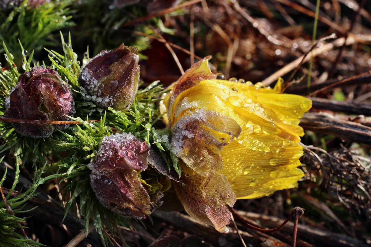 2014_03_07_00036709p_Bildgr��e �ndern