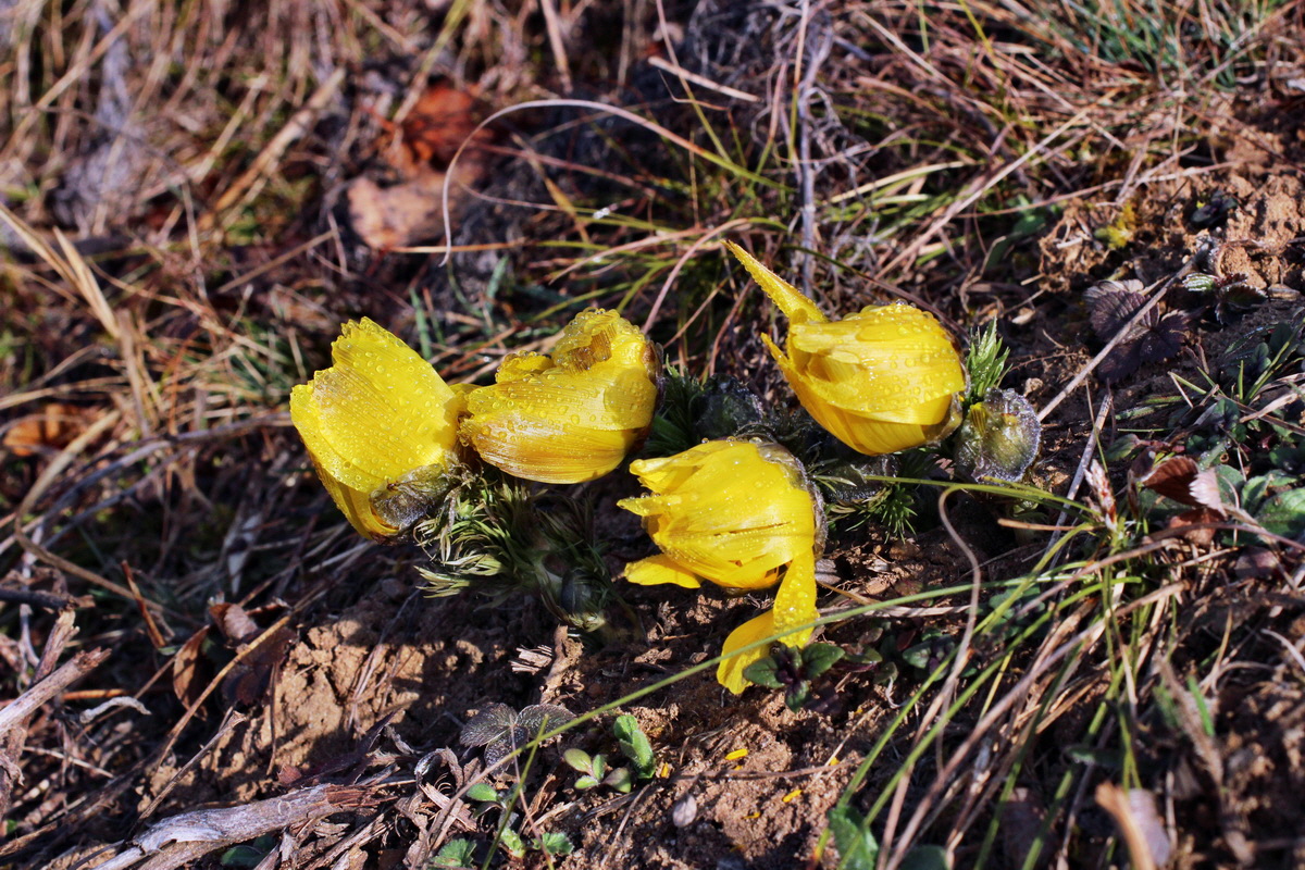 2014_03_07_00036724p_Bildgr��e �ndern