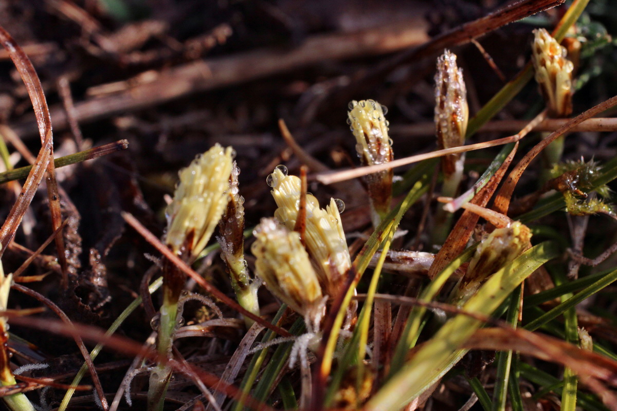 2014_03_07_00036732p_Bildgr��e �ndern