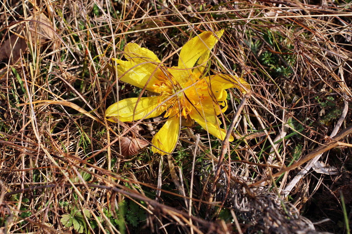 2014_03_07_00036743p_Bildgr��e �ndern