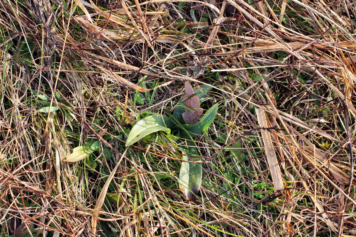 2014_03_07_00036749p_Bildgr��e �ndern