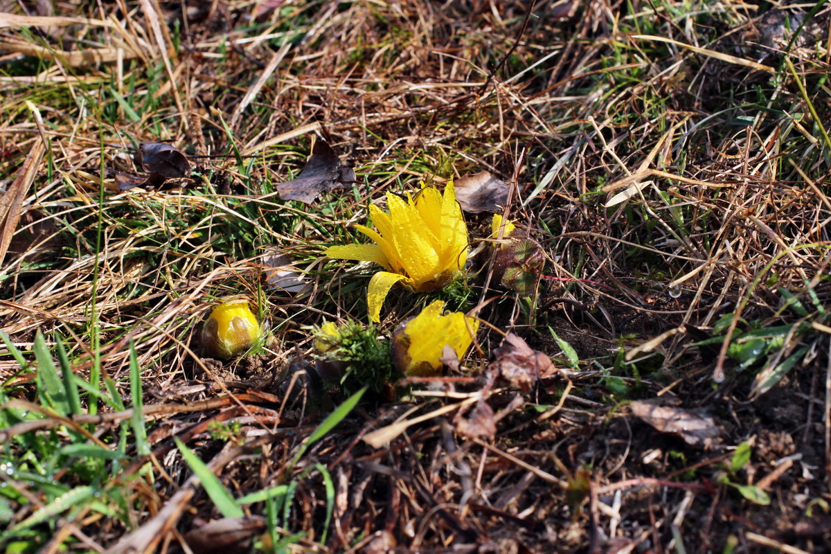 2014_03_07_00036756p_Bildgr��e �ndern