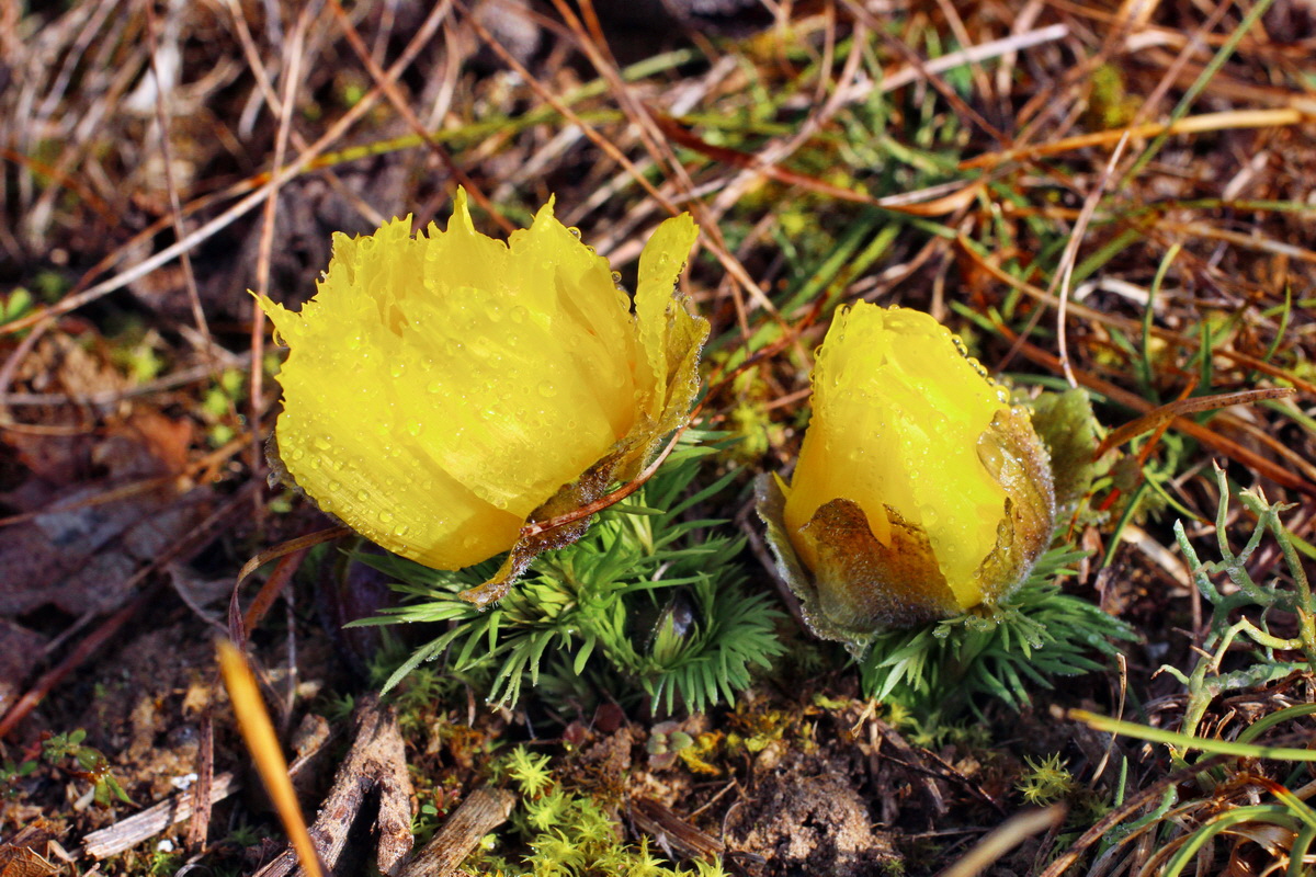 2014_03_07_00036759p_Bildgr��e �ndern