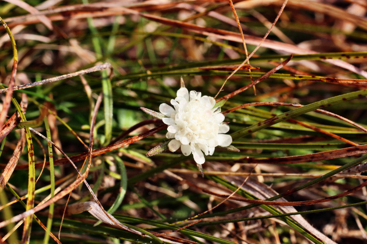 2014_03_07_00036766p_Bildgr��e �ndern