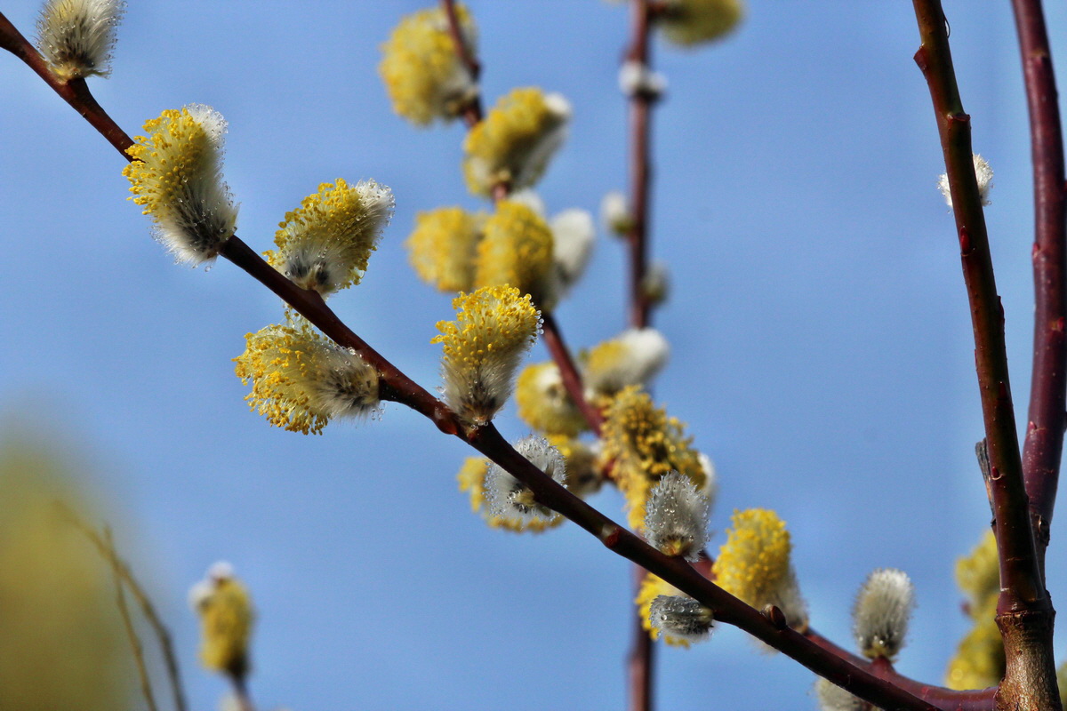 2014_03_07_00036767p_Bildgr��e �ndern