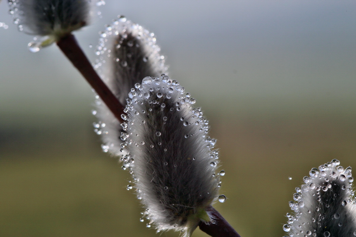 2014_03_07_00036771p_Bildgr��e �ndern