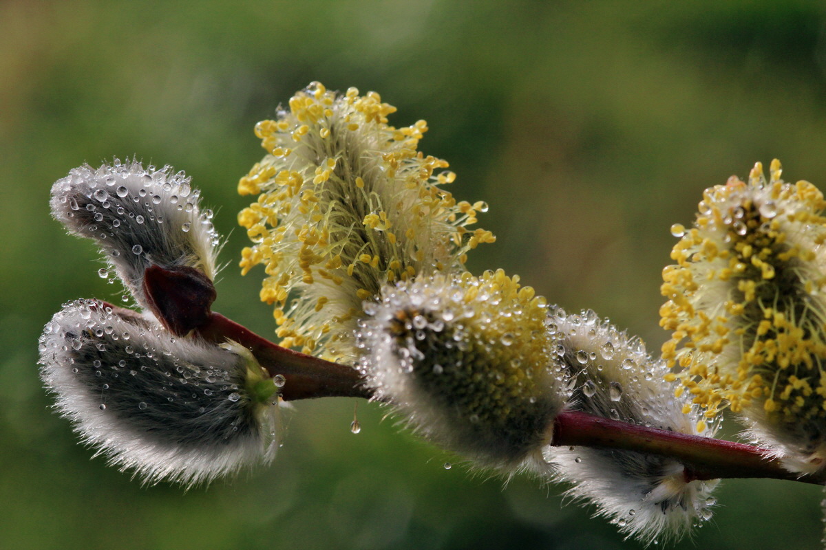 2014_03_07_00036777p_Bildgr��e �ndern