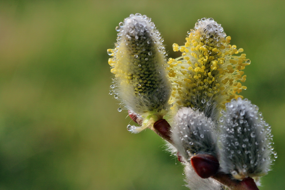 2014_03_07_00036778p_Bildgr��e �ndern