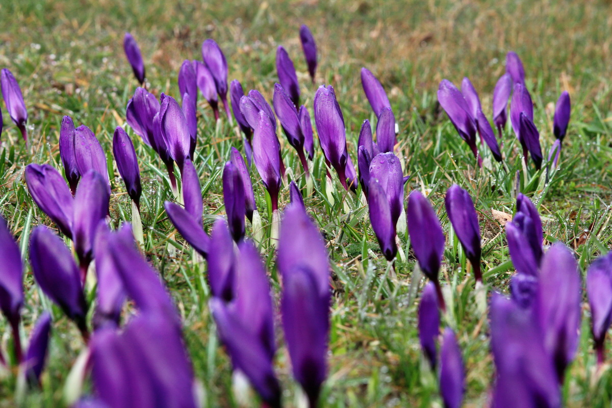 2014_03_07_00036800p_Bildgr��e �ndern