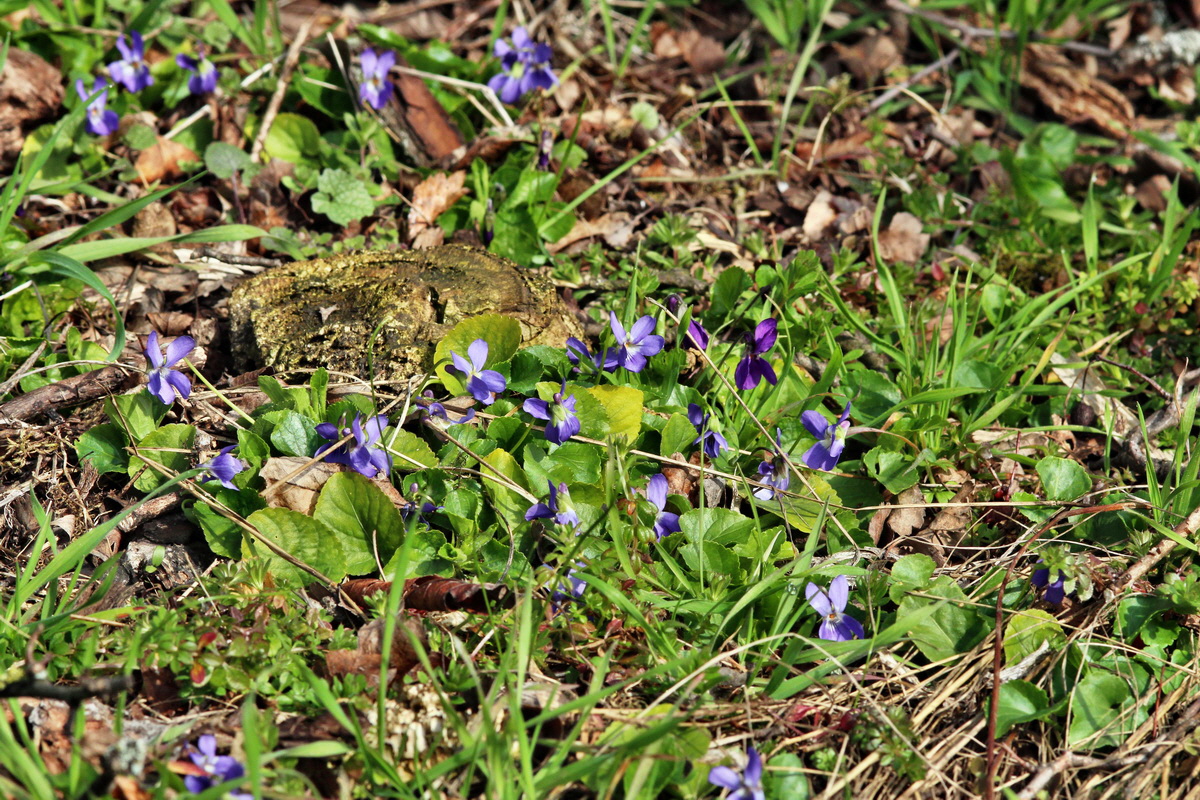 2014_03_07_00036805p_Bildgr��e �ndern