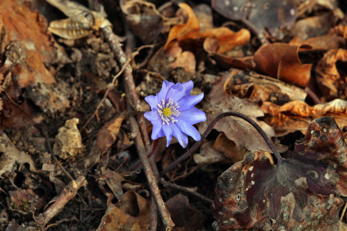 2014_03_07_00036810p_Bildgr��e �ndern