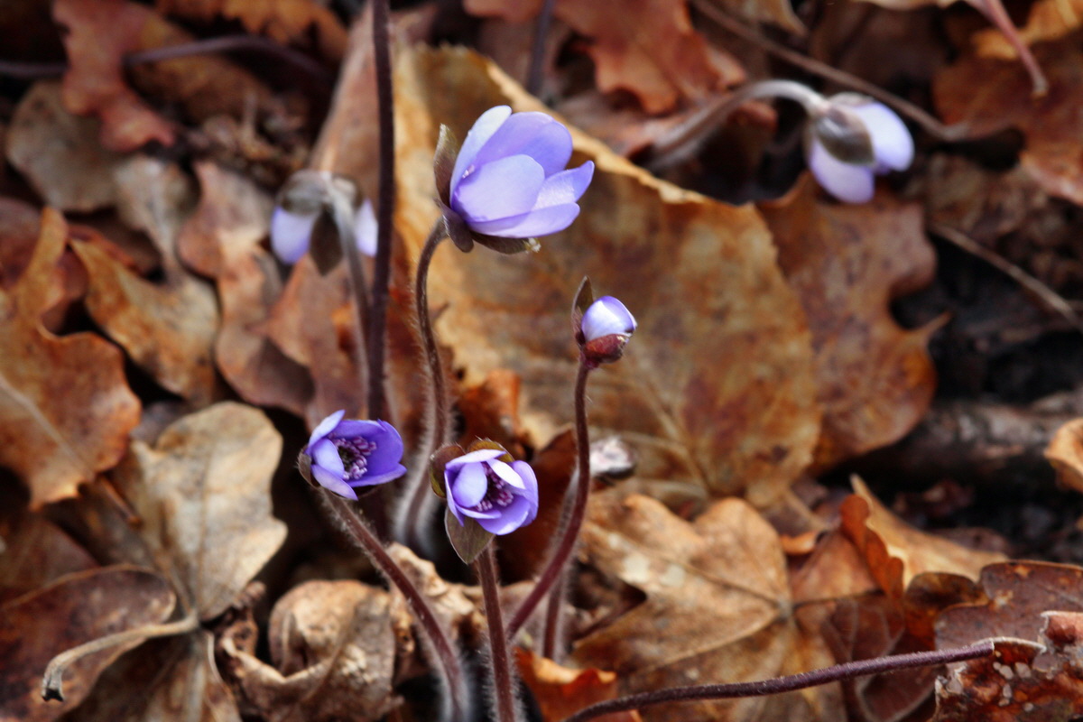 2014_03_07_00036813p_Bildgr��e �ndern