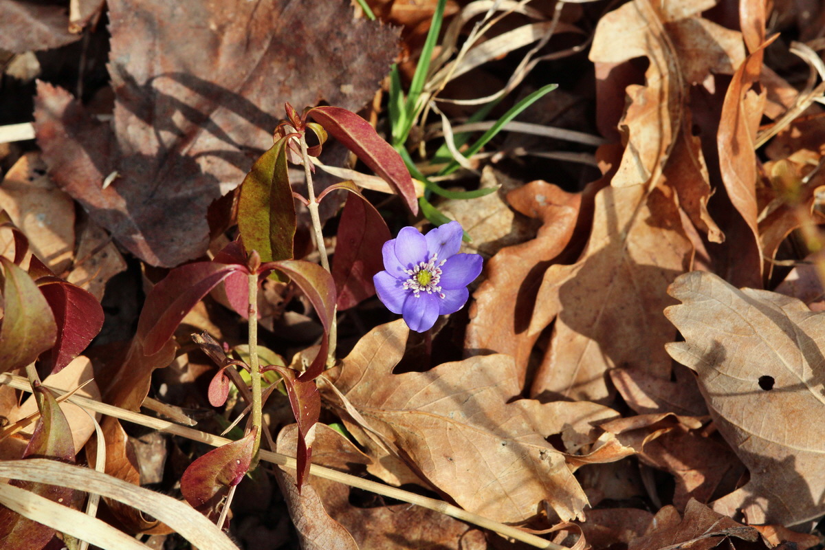 2014_03_07_00036847p_Bildgr��e �ndern