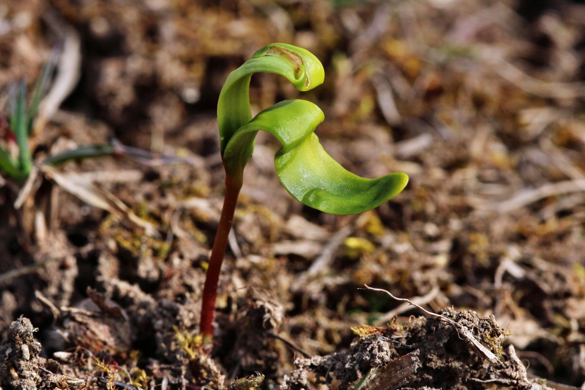 2014_03_07_00036849p_Bildgr��e �ndern