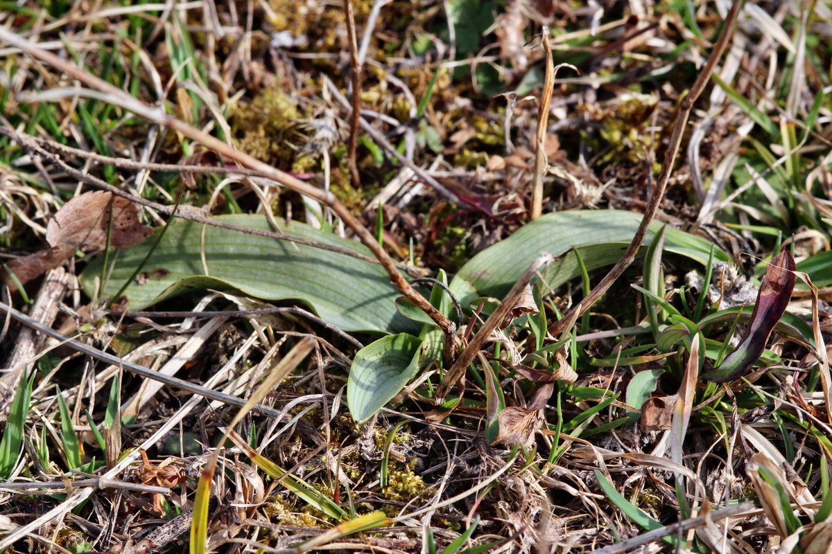 2014_03_07_00036851p_Bildgr��e �ndern