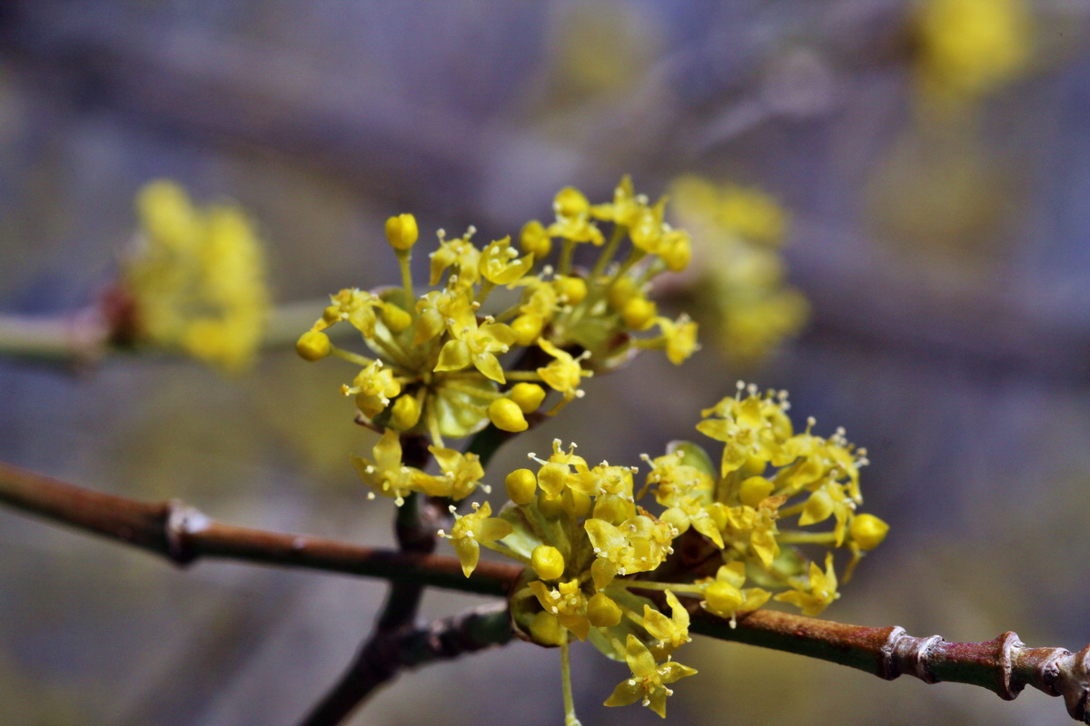 2014_03_07_00036855p_Bildgr��e �ndern