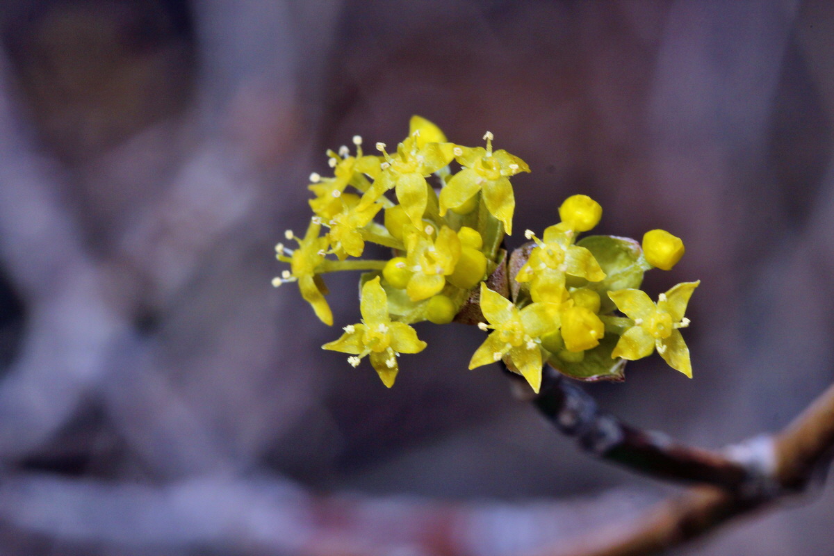 2014_03_07_00036858p_Bildgr��e �ndern