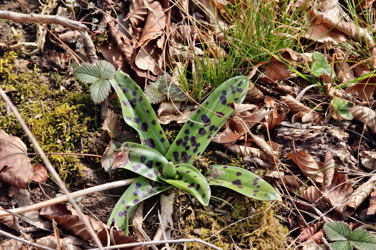 2014_03_07_00036873p_Bildgr��e �ndern