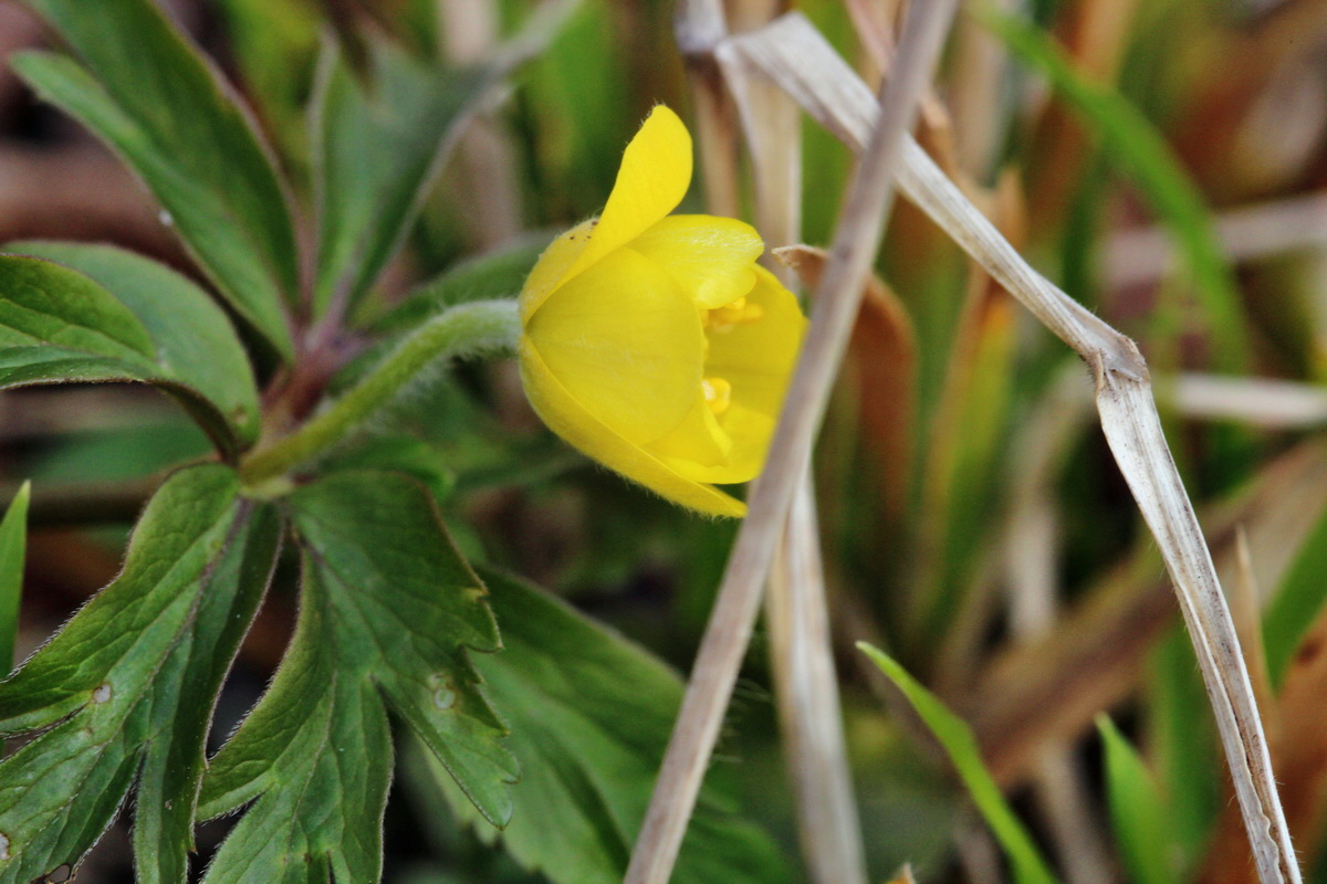 2014_03_07_00036878p_Bildgr��e �ndern