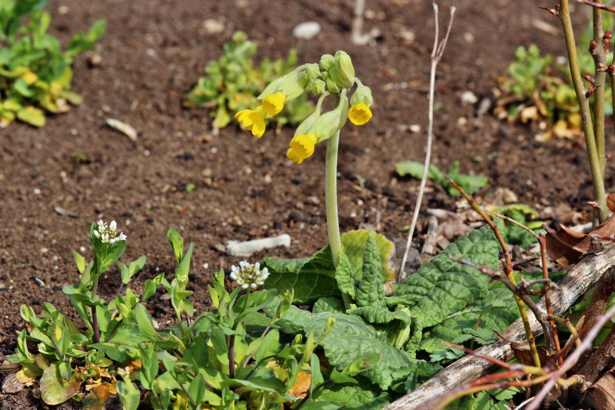 2014_03_07_00036882p_Bildgr��e �ndern