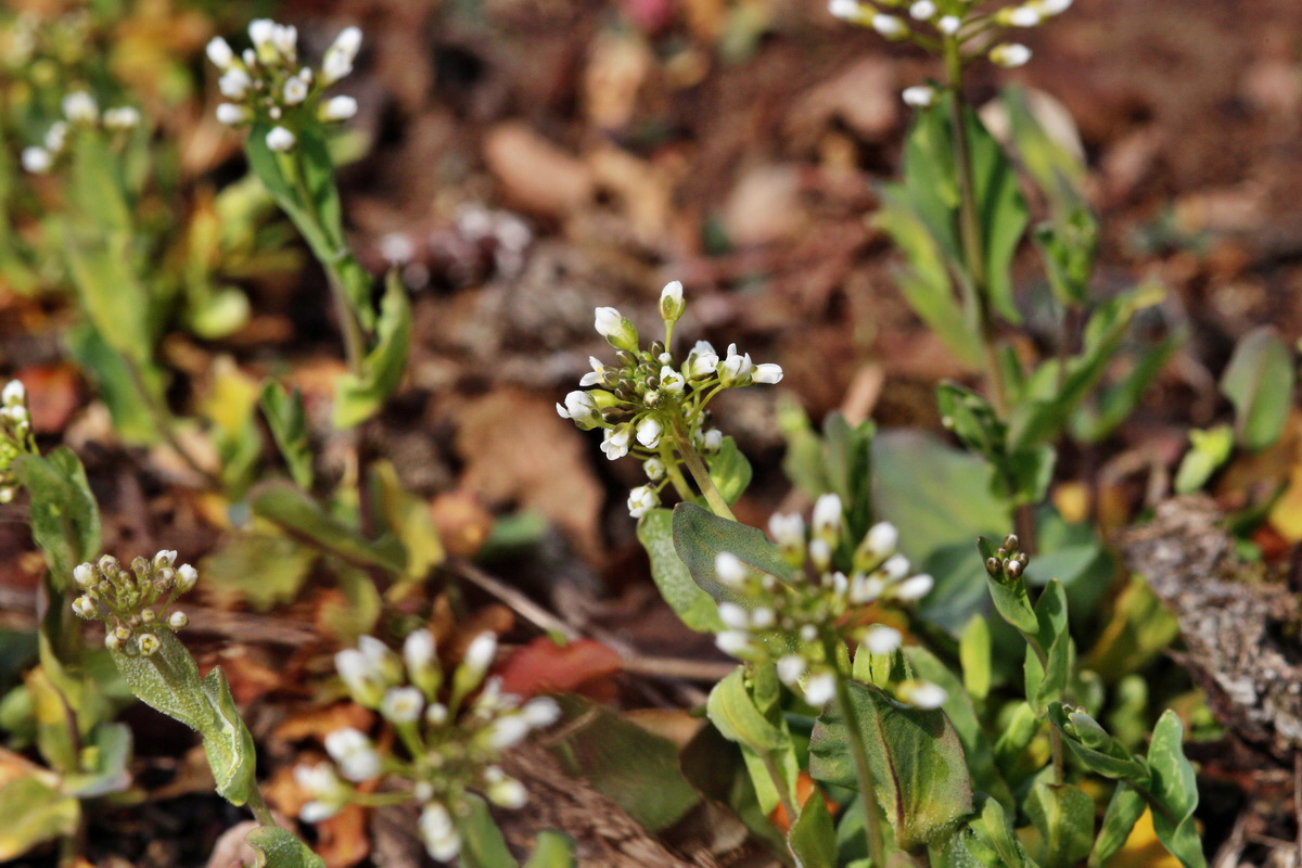 2014_03_07_00036886p_Bildgr��e �ndern