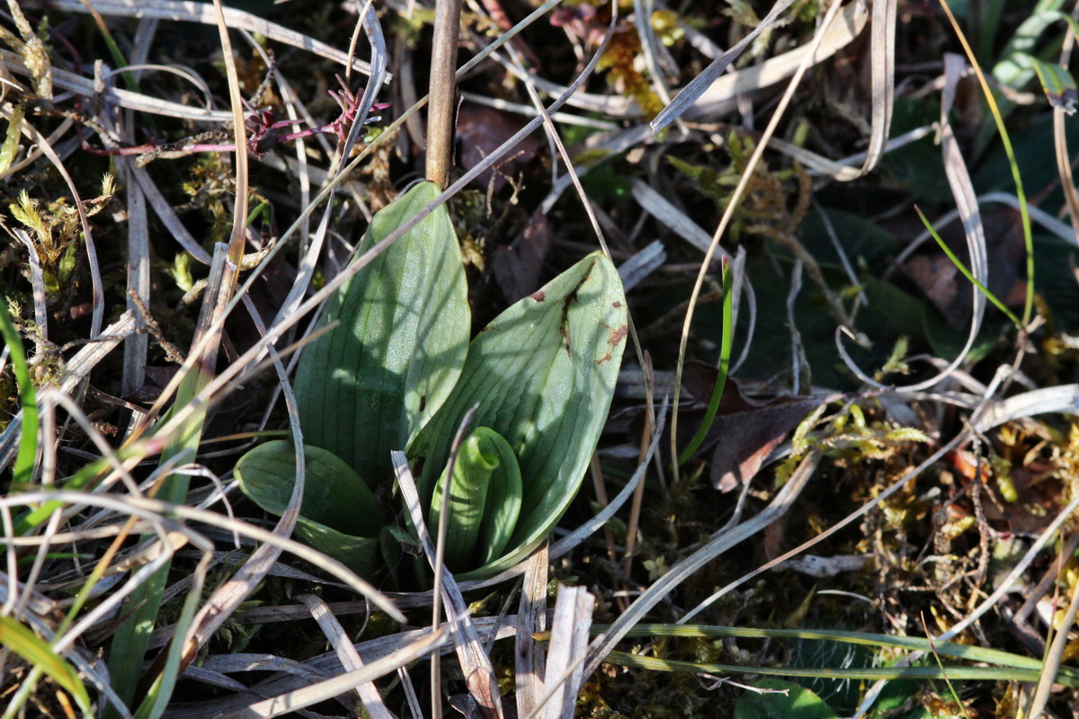 2014_03_08_00036907p_Bildgr��e �ndern