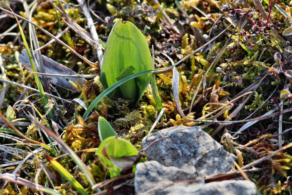 2014_03_08_00036913p_Bildgr��e �ndern